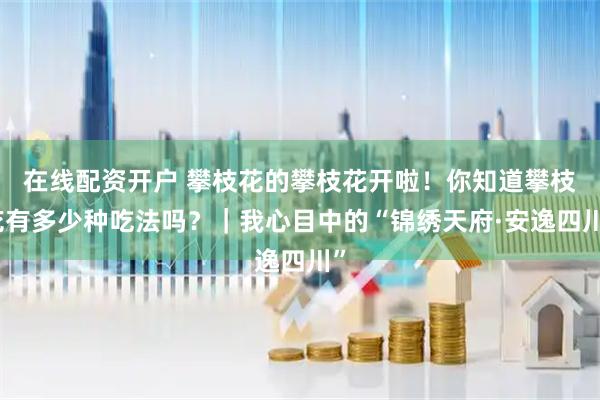在线配资开户 攀枝花的攀枝花开啦!你知道攀枝花有多少种吃法吗?|我心目中的“锦绣天府·安逸四川”